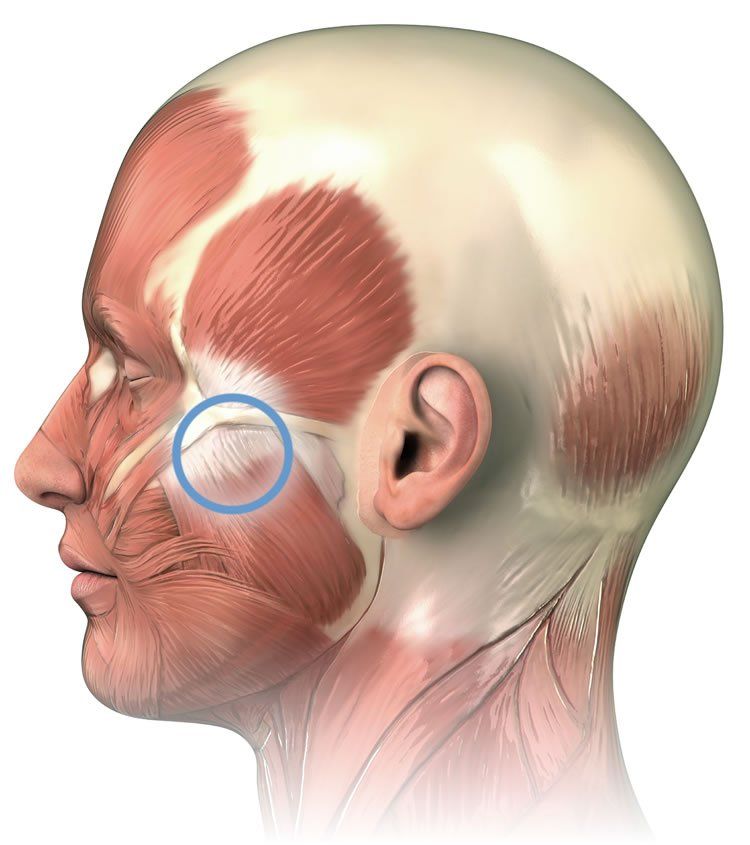 Number S. reccomend Facial muscles and massage