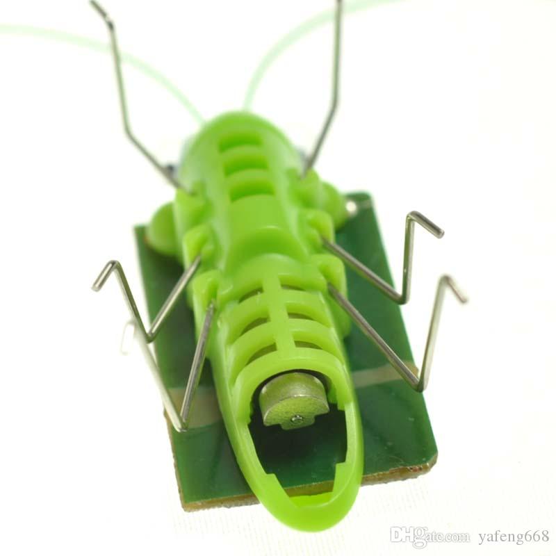 Latex grasshopper pet toy