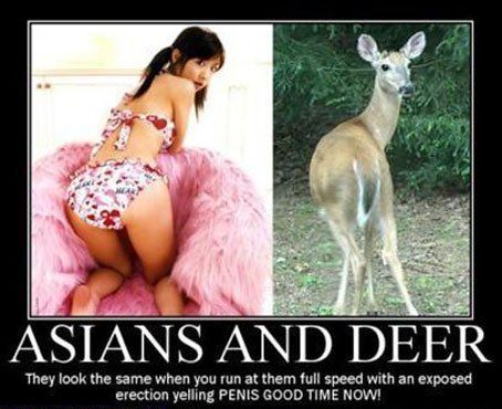 Wasp reccomend Asians and deer