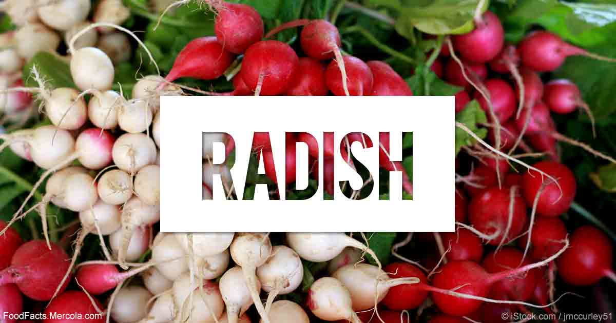 best of About radishes facts Fun