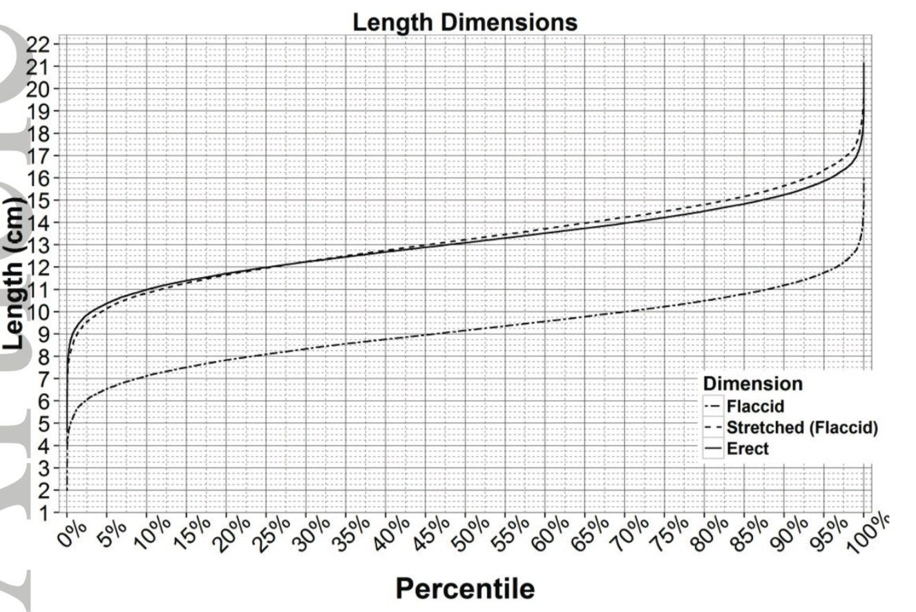 Penis sizes chart