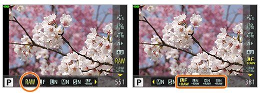 Cherry blossoms asian hookup already a member toggle buttons