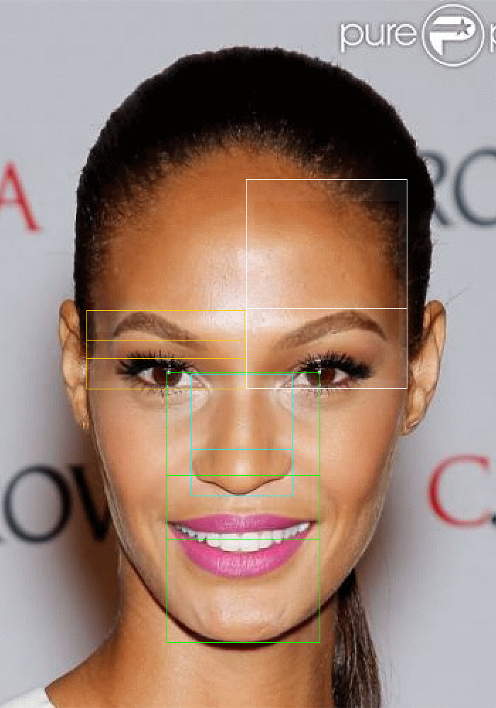 best of Golden ratio freeware Facial features