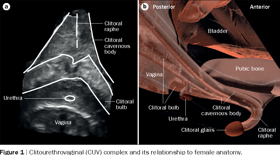 best of Orgasm pics Female g spot