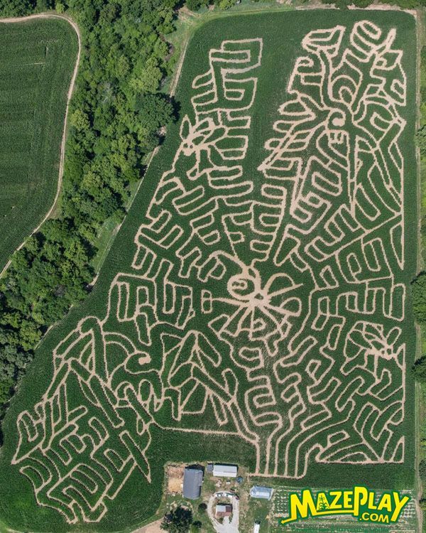 Fun acres corn maze michigan
