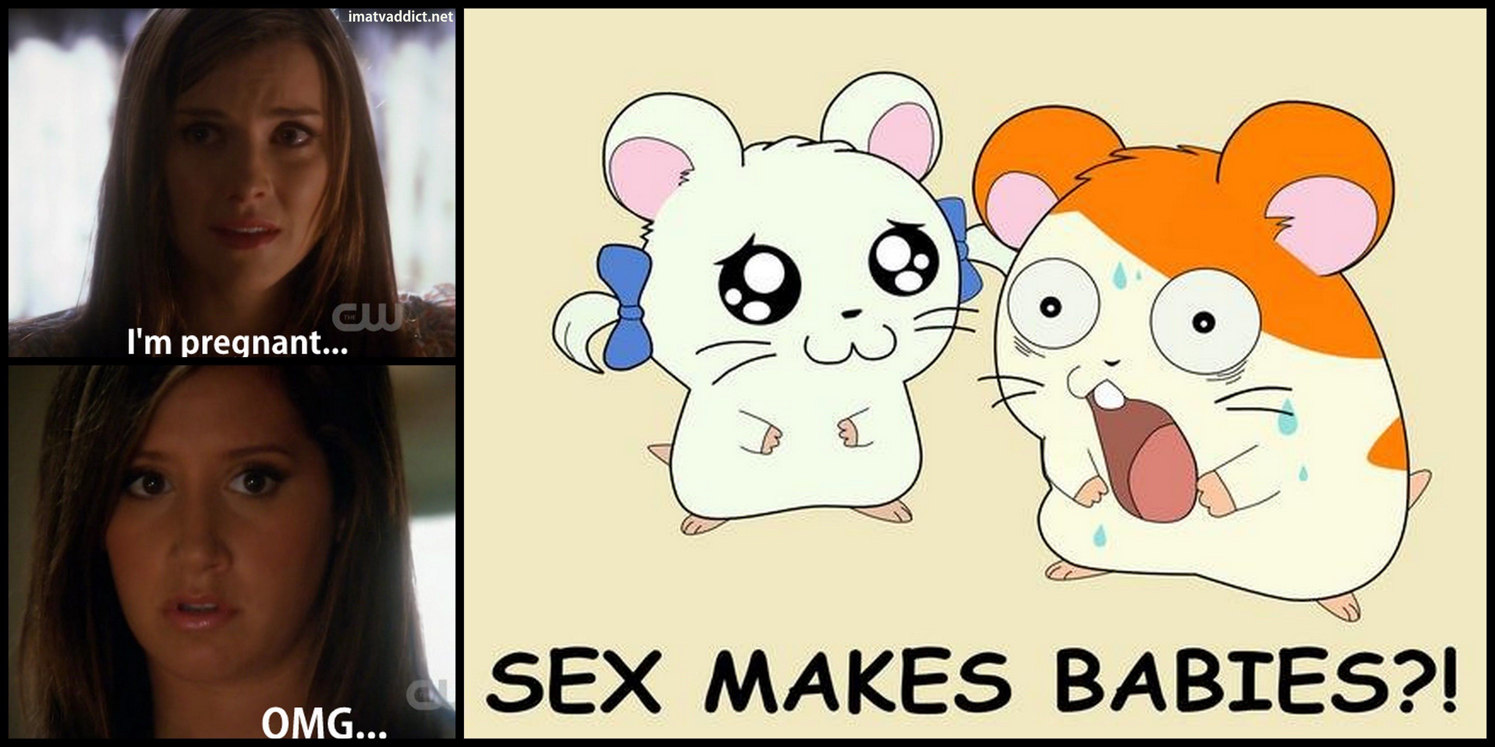 Egg T. reccomend Hamtaro sex makes babies