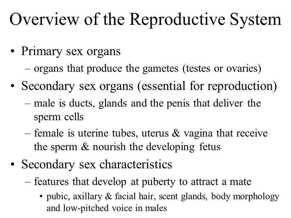 best of With woman male organs Sex with black sex