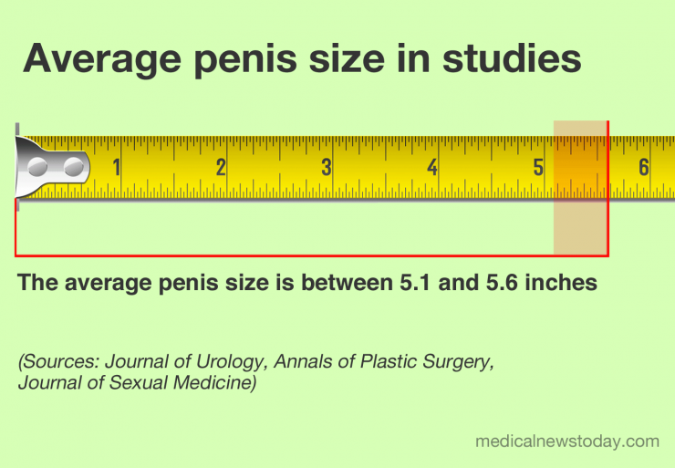 best of Size Average cum 14 dick for