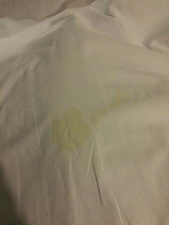Panther reccomend Piss on the sheet