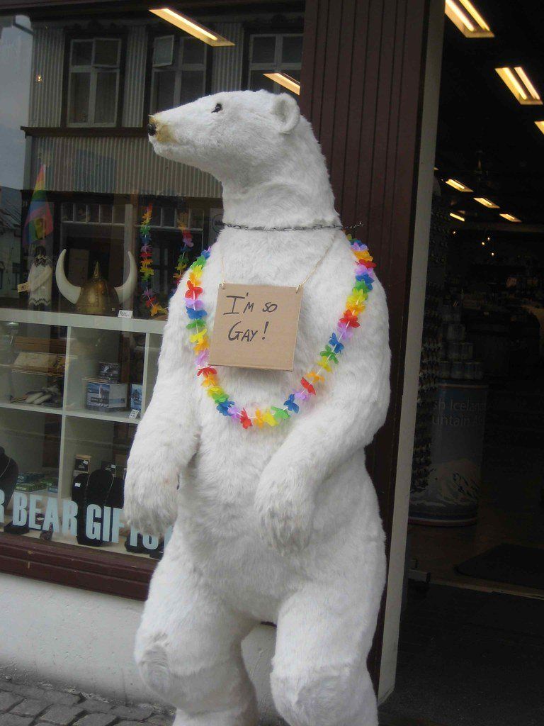 Drizzle reccomend Bear gay polar