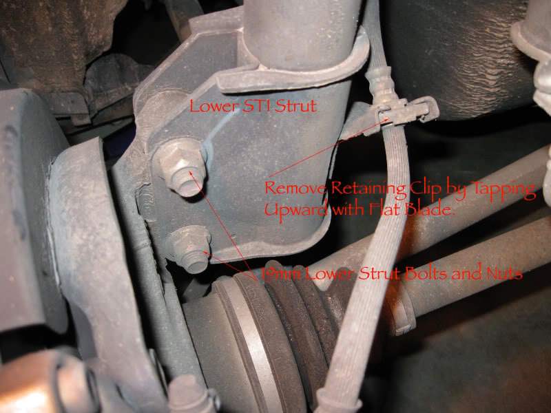 best of Strut bolts Bottom