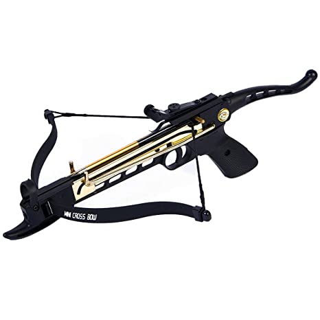 Snowflake reccomend Crossbow 80 pound pressure penetration