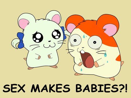 Hamtaro sex makes babies