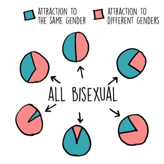 How can you tell if your bisexual