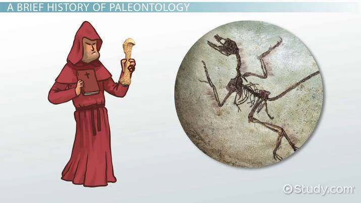 Fun facts about paleontology