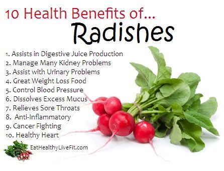 Dreads reccomend Fun facts about radishes