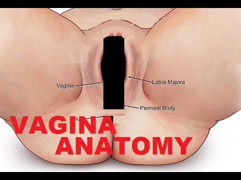 Good site for showing women vagina