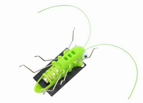 Henchman reccomend Latex grasshopper pet toy