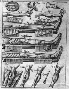 Medical illustrator chicago bdsm