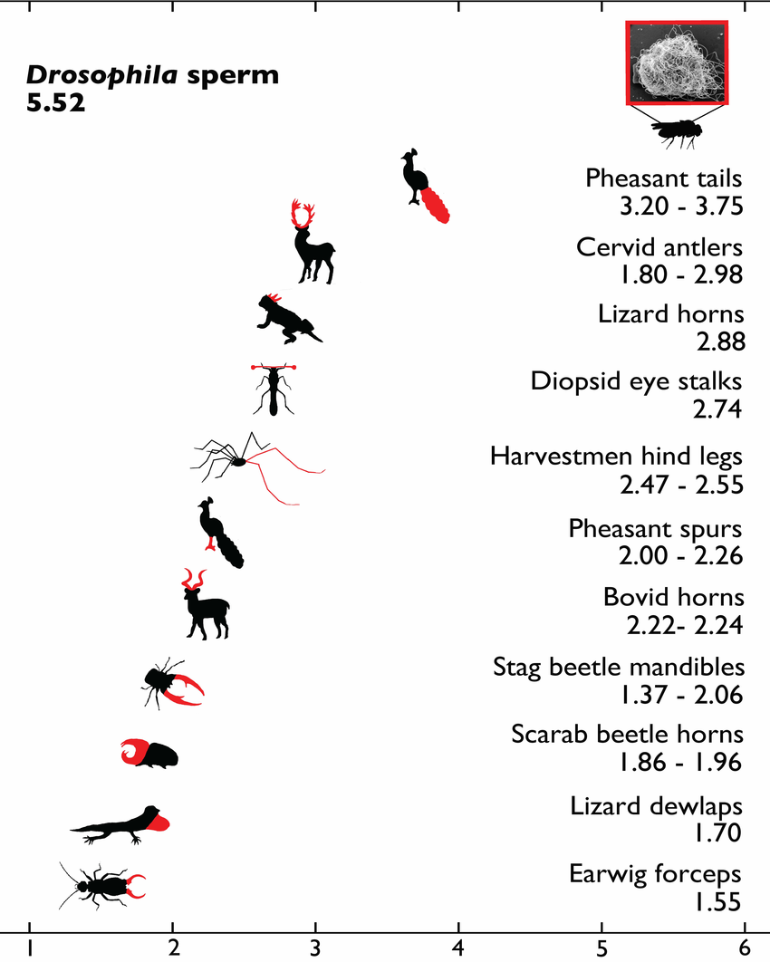 Sperm volume comparison